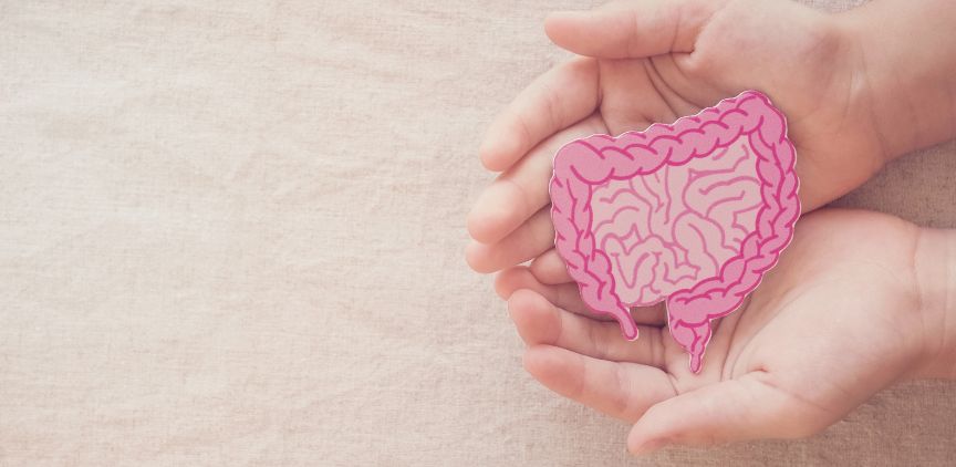 best foods for gut health